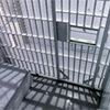 Another Rikers Guard Charged With Abuse